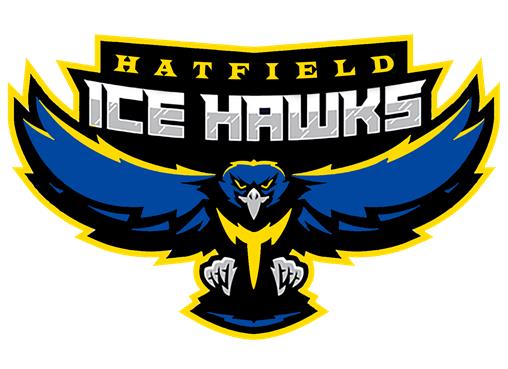 Ice Hawks